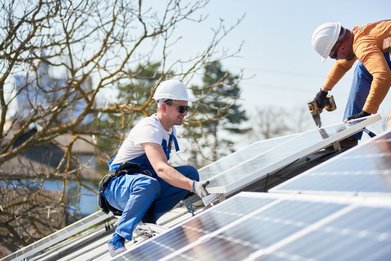 Solar Service Professionals at Work
